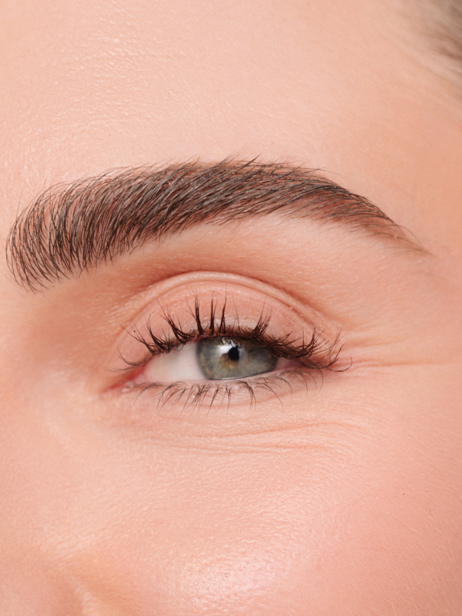 Close-up of a perfectly sculpted and filled eyebrow with a clean, lifted finish.