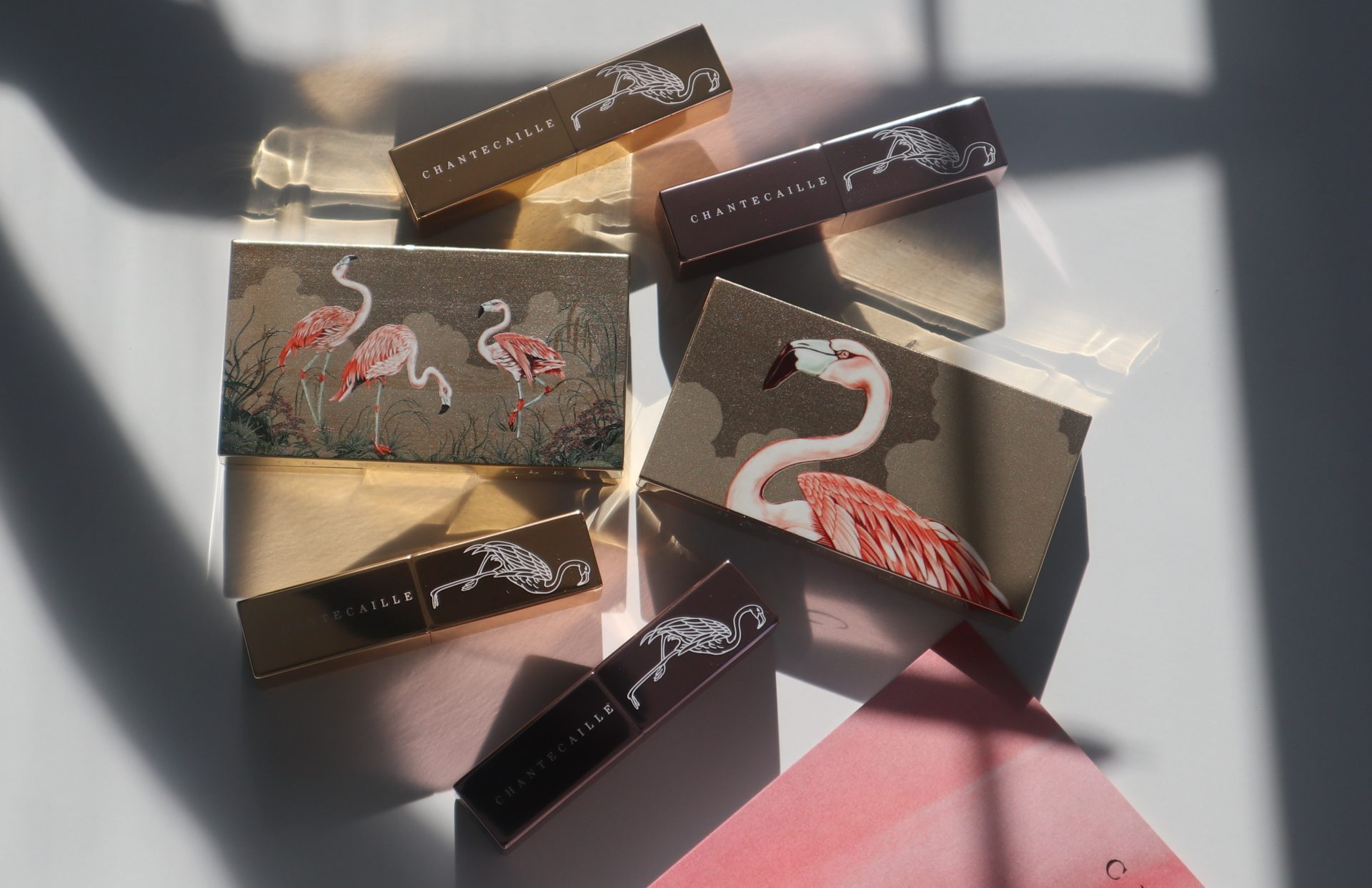 Chantecaille Flamingo Collection Review: Are These Amazon-Inspired Eye Trios the Best of Spring 2026?